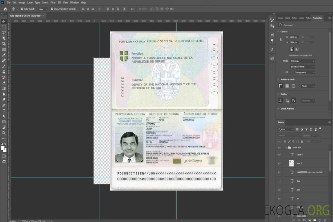 Passeport diplomatique de la Serbie (2008-2016) template